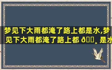 梦见下大雨都淹了路上都是水,梦见下大雨都淹了路上都 🌸 是水什么意思